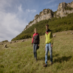 Elisabeth Moreau, éleveuse ovine, face à la fièvre catharale et au désamour des chiens de troupeau