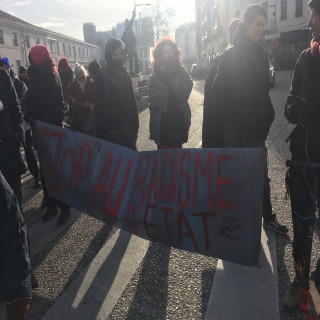 Manifestation pour le retrait de la loi Immigration à Valence