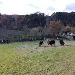 MON PREMIER "LOTO-BOUSE"