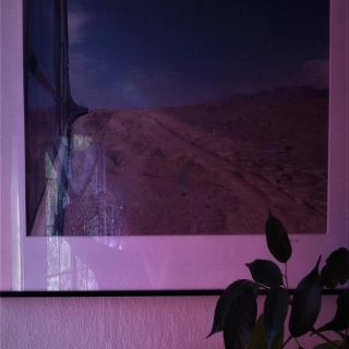 Collagène  |  radiodiario