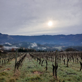 REPRISES de TERRES  |  Terres d'accueil, du côté de la Drôme