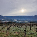 REPRISES de TERRES  |  Terres d'accueil, du côté de la Drôme