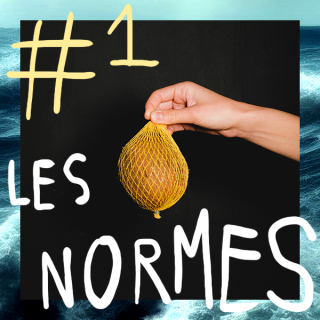 01 ǀ Les Normes