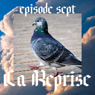 07 ǀ La Reprise