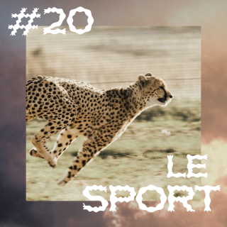 20 | Nos corps dans le sport